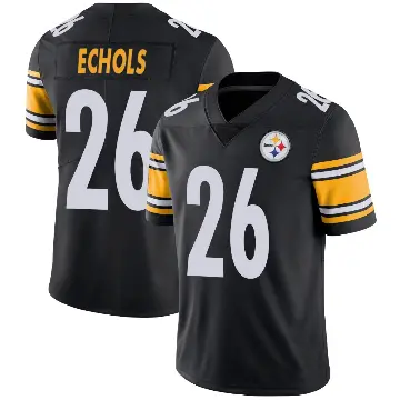 ＃26 Youth Brandin Echols Black Limited Pittsburgh Steelers Team Color Vapor Untouchable Jersey